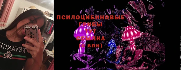 Альфа ПВП Гусев
