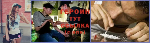 сатива Дмитровск