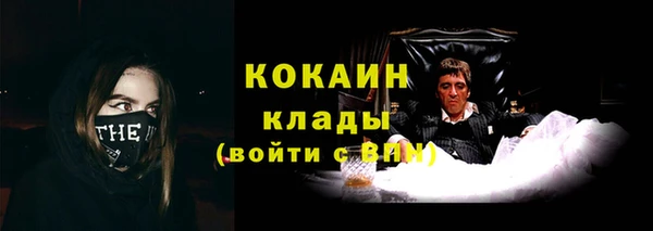 сатива Дмитровск