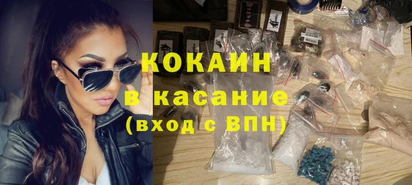 гашик Дмитриев