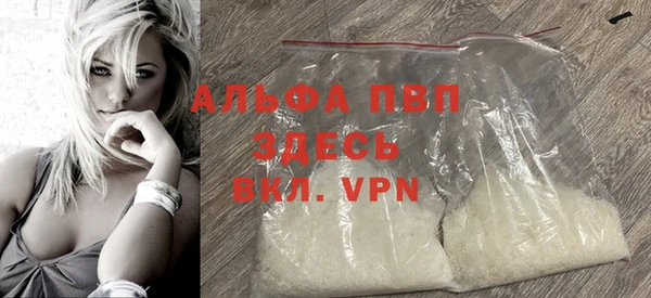 гашик Дмитриев