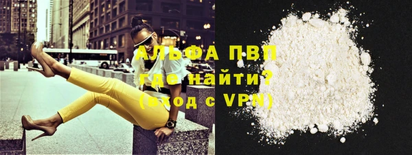 гашик Дмитриев