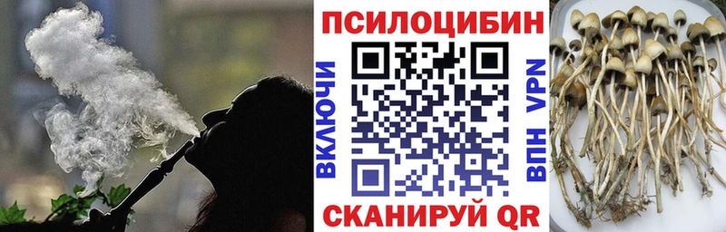 Галлюциногенные грибы GOLDEN TEACHER  Балашиха 
